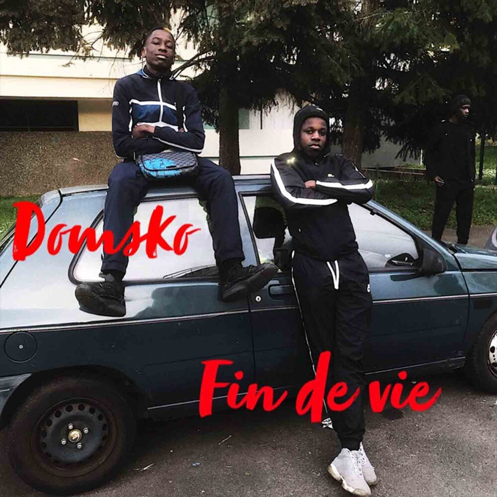 Picture of Fin de vie