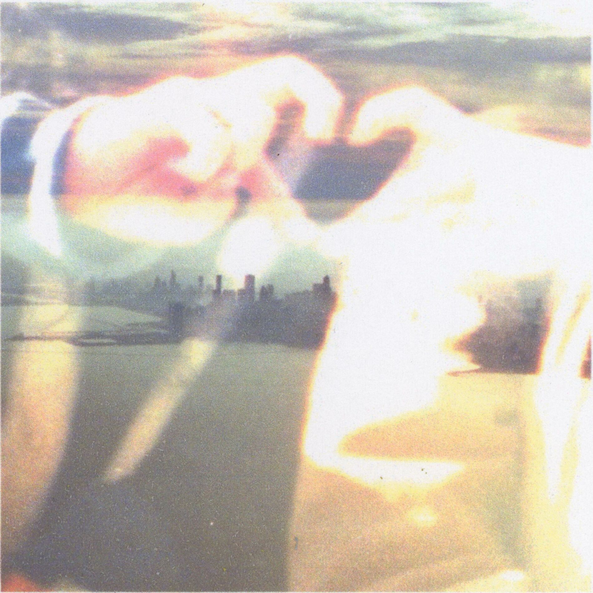 Album cover of barrier
