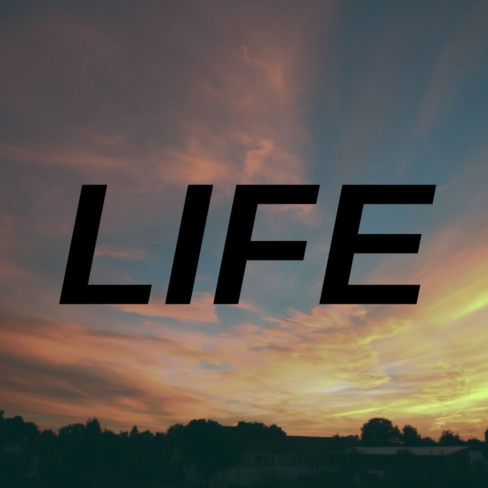 Picture of Life