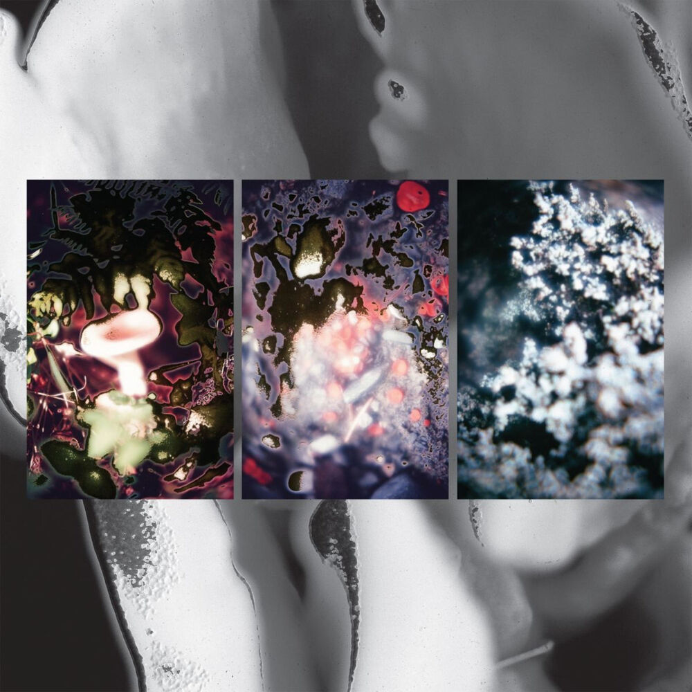 Picture of Three Versions