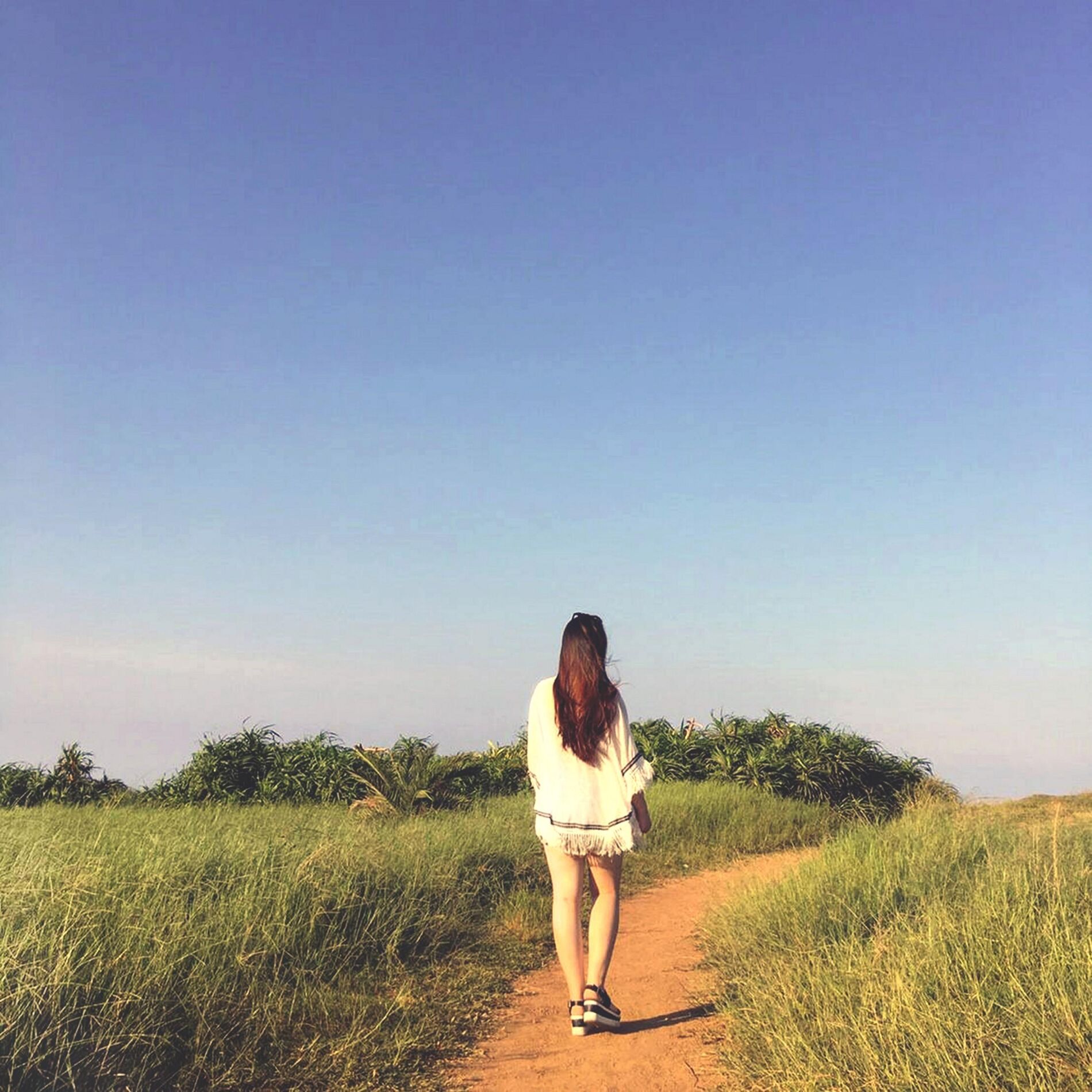 Album cover of 青春住了誰