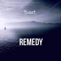 Cover of Remedy