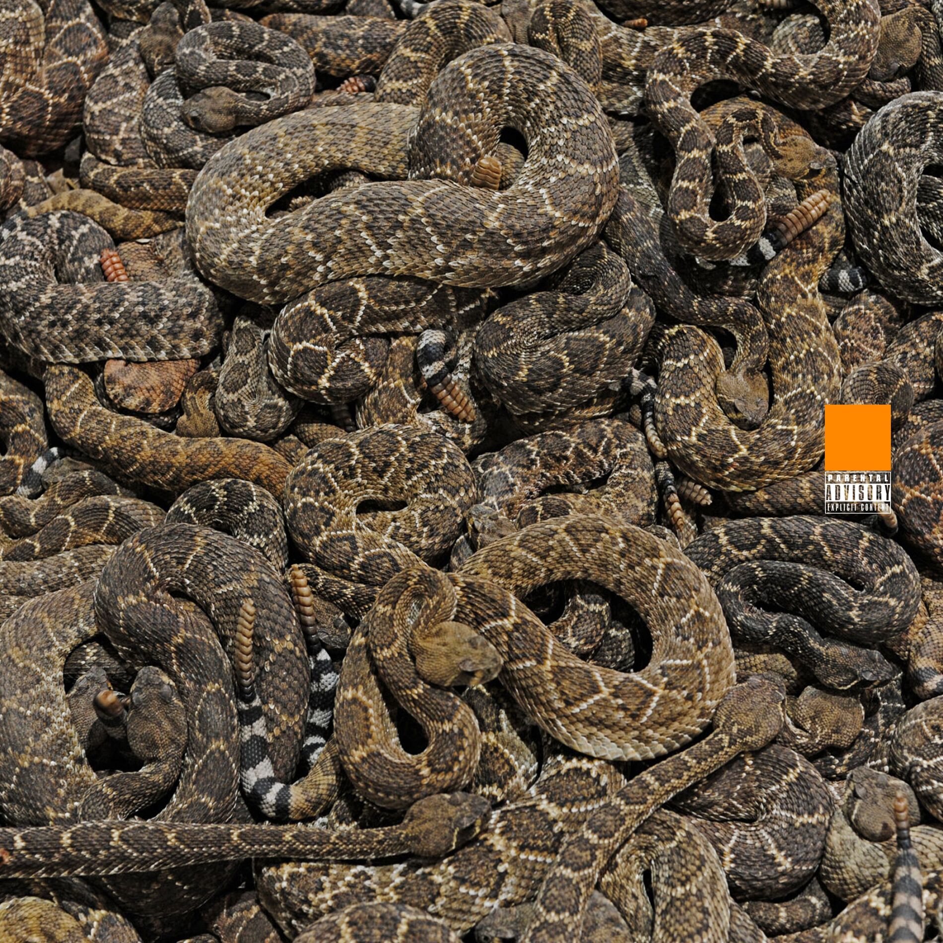 Album cover of Snakes