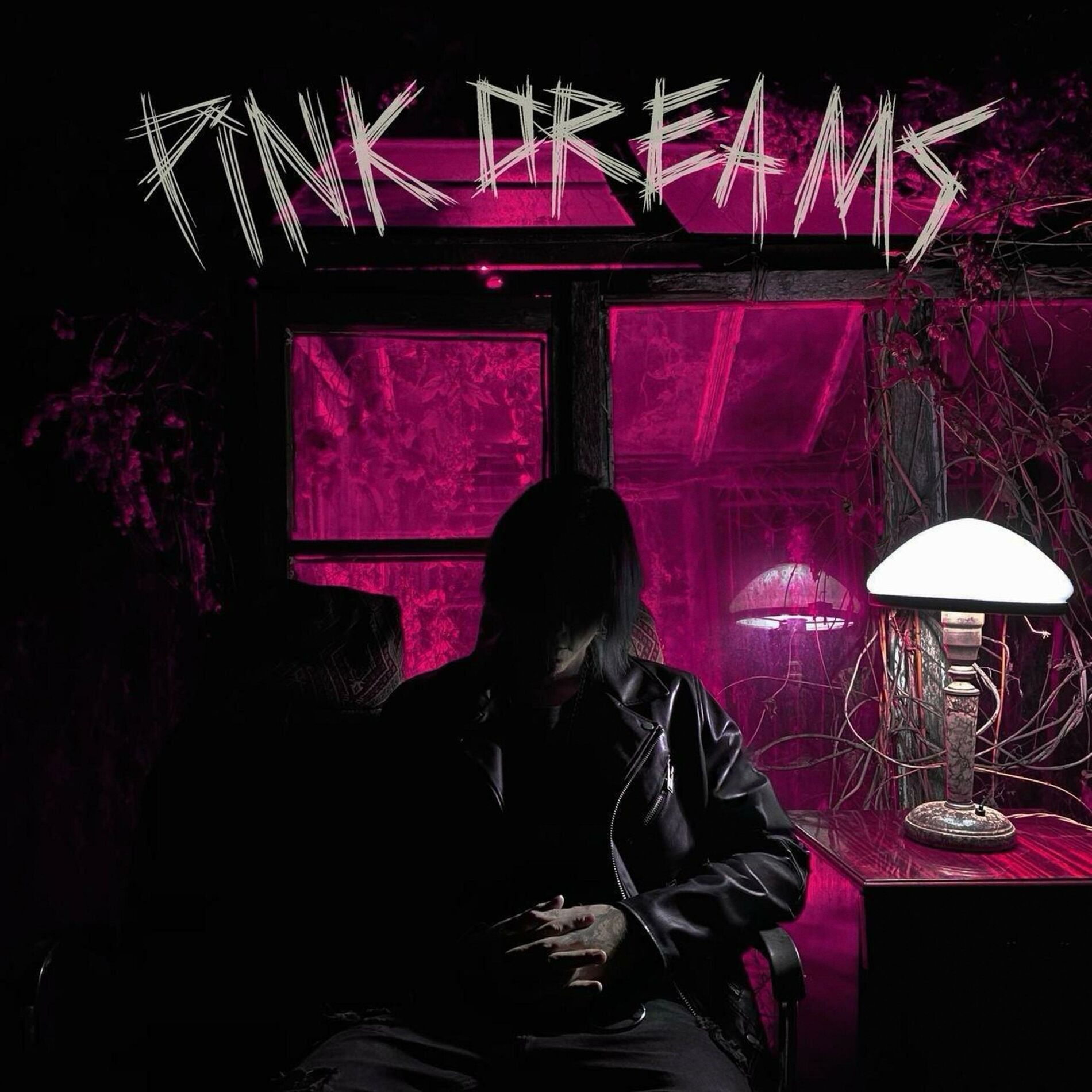 Album cover of PINK DREAMS