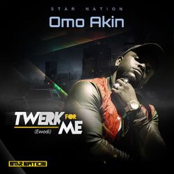 Cover of Twerk for Me