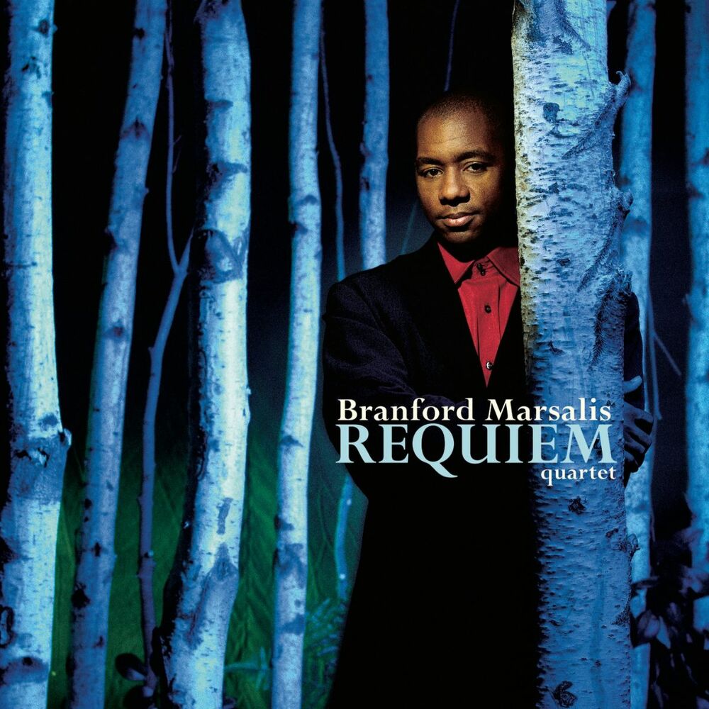 Picture of Requiem