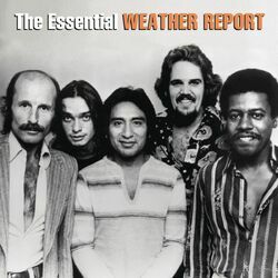 Cover of The Essential Weather Report