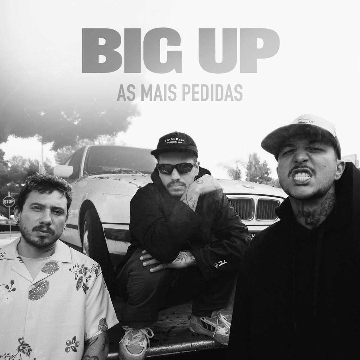 Album cover of Big Up - As mais pedidas