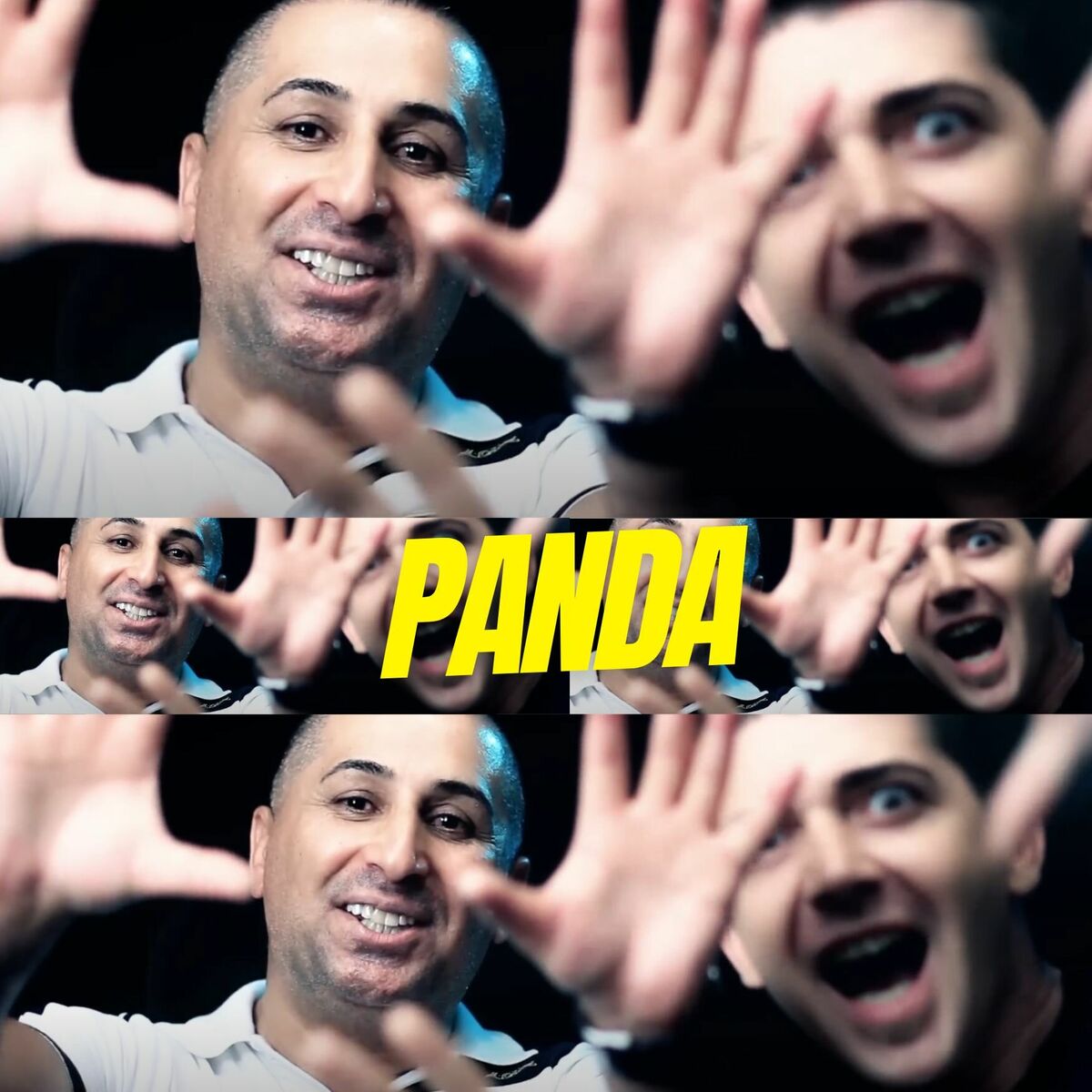 Album cover of Panda