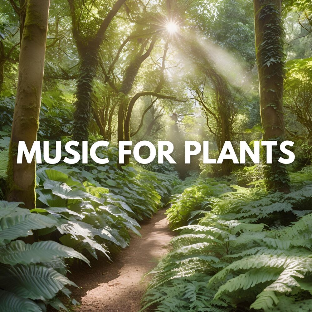 Picture of Music for Plants