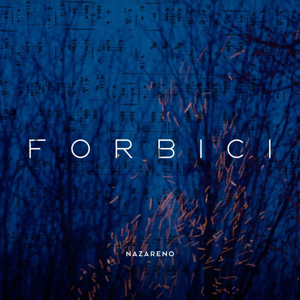 Picture of Forbici