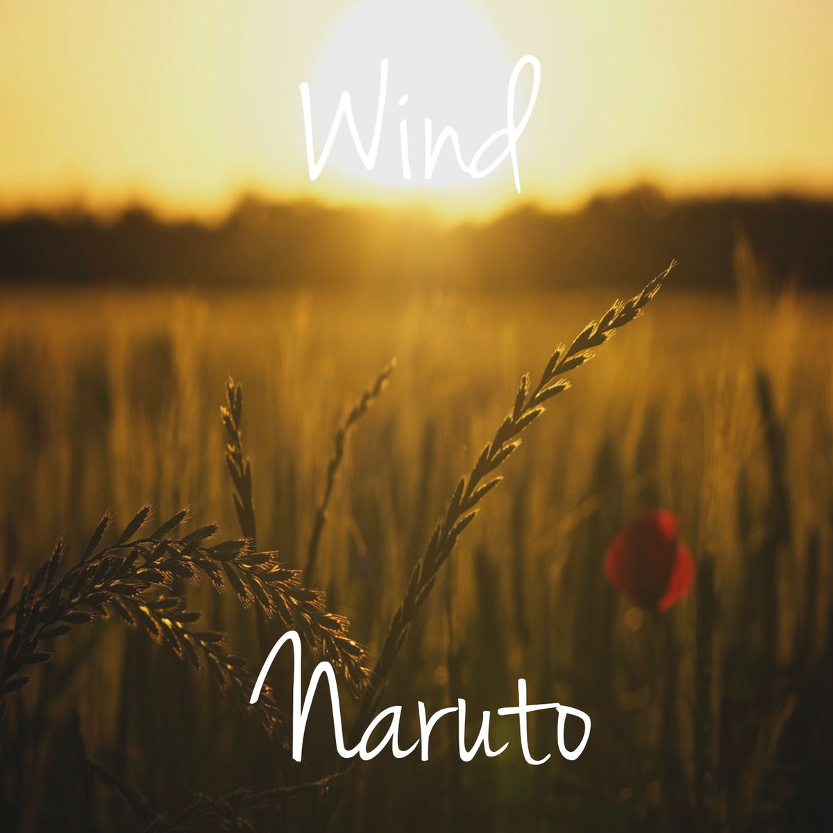 Album cover of Wind - Naruto ED 1