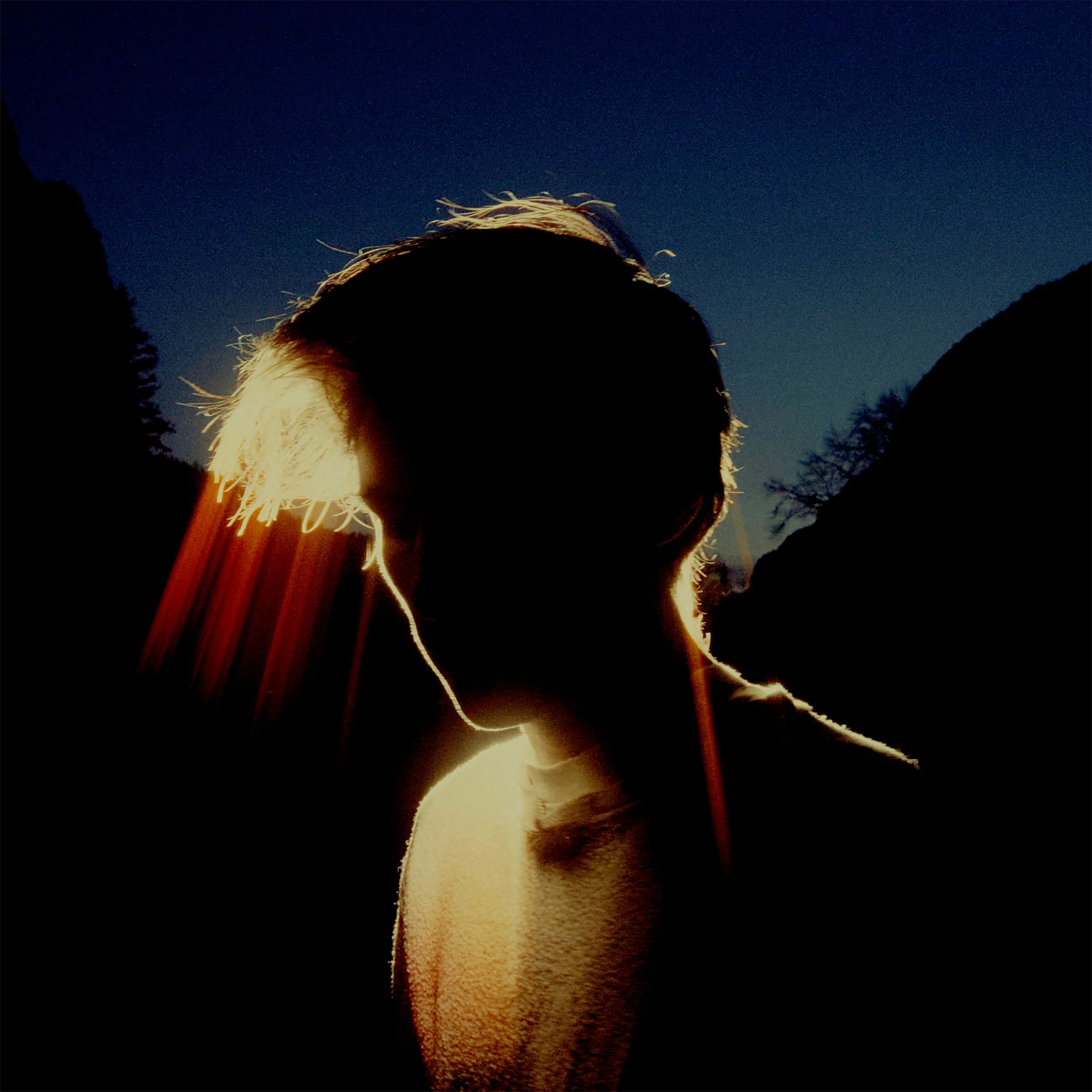 Album cover of Force of Nature