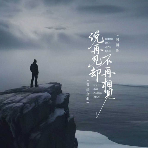 说再见却不再相见 (粤语金曲)