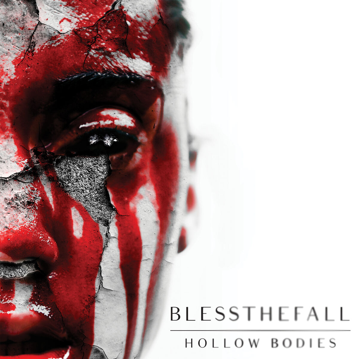 Album cover of Hollow Bodies