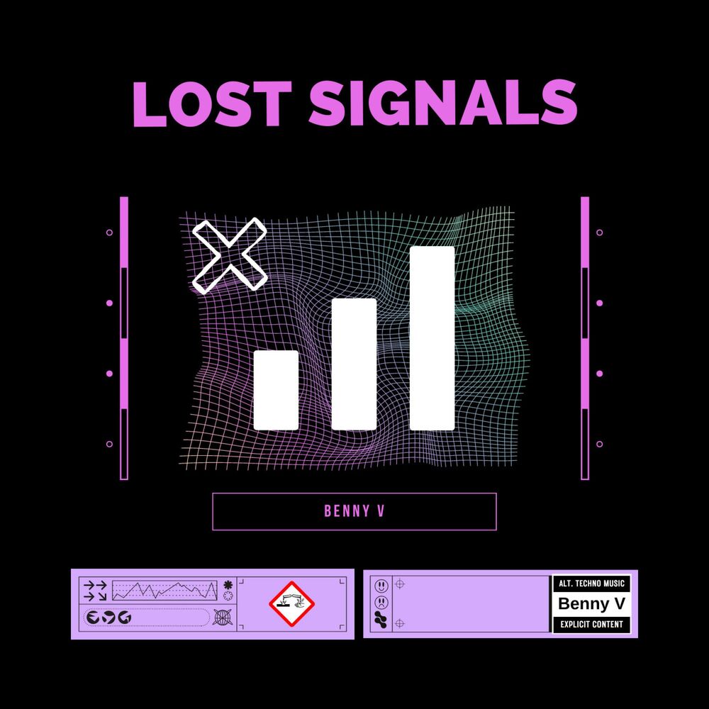 Picture of Lost Signals