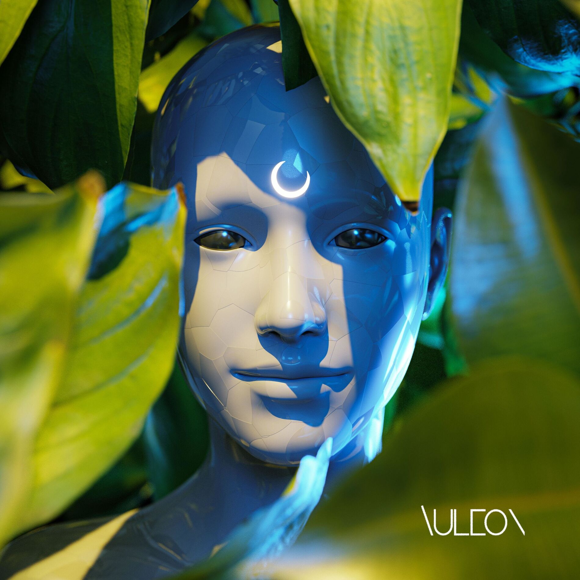 Album cover of Auleon