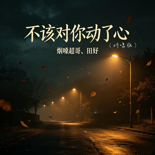 不该对你动了心 (对唱版)