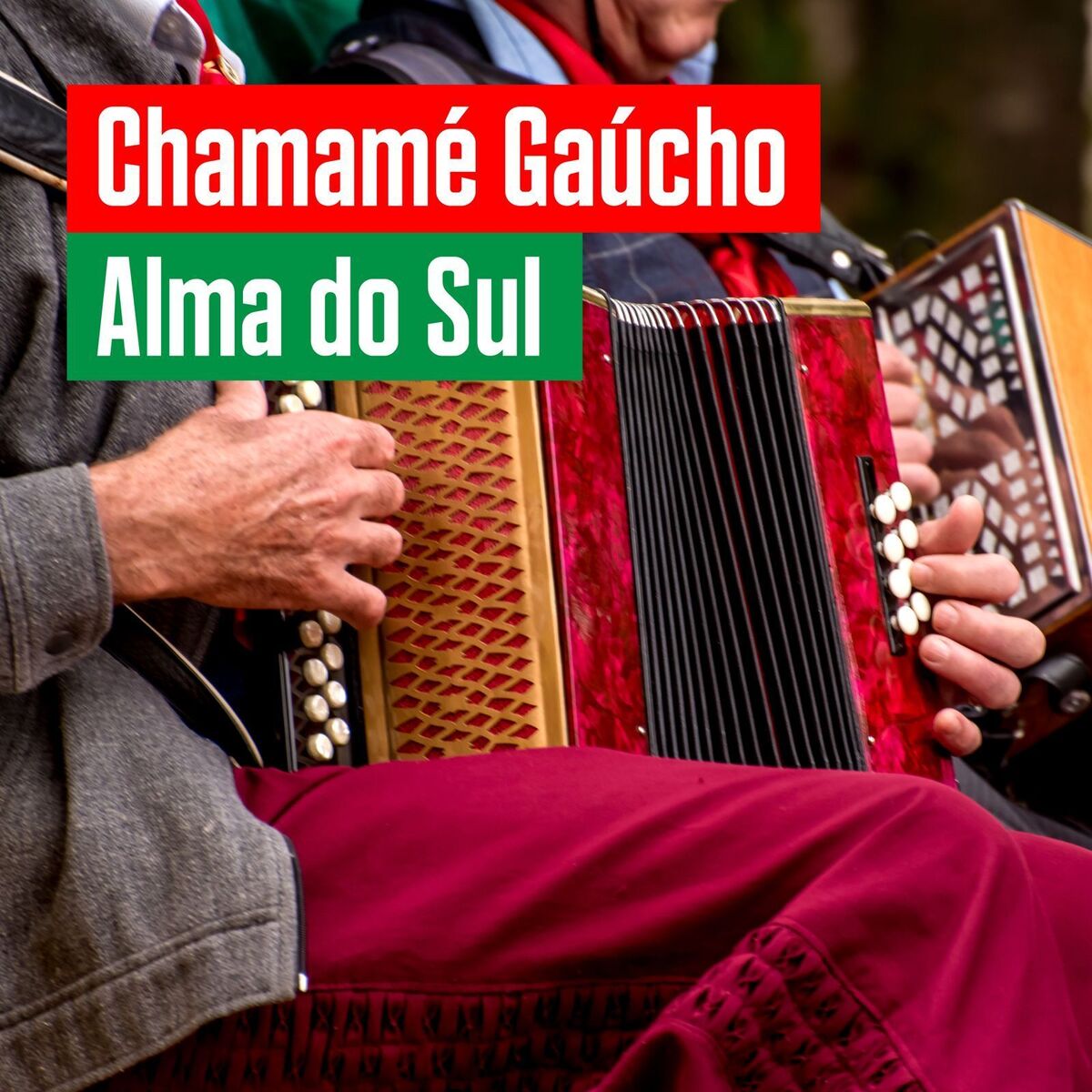 Album cover of Chamamé Gaúcho: Alma do Sul