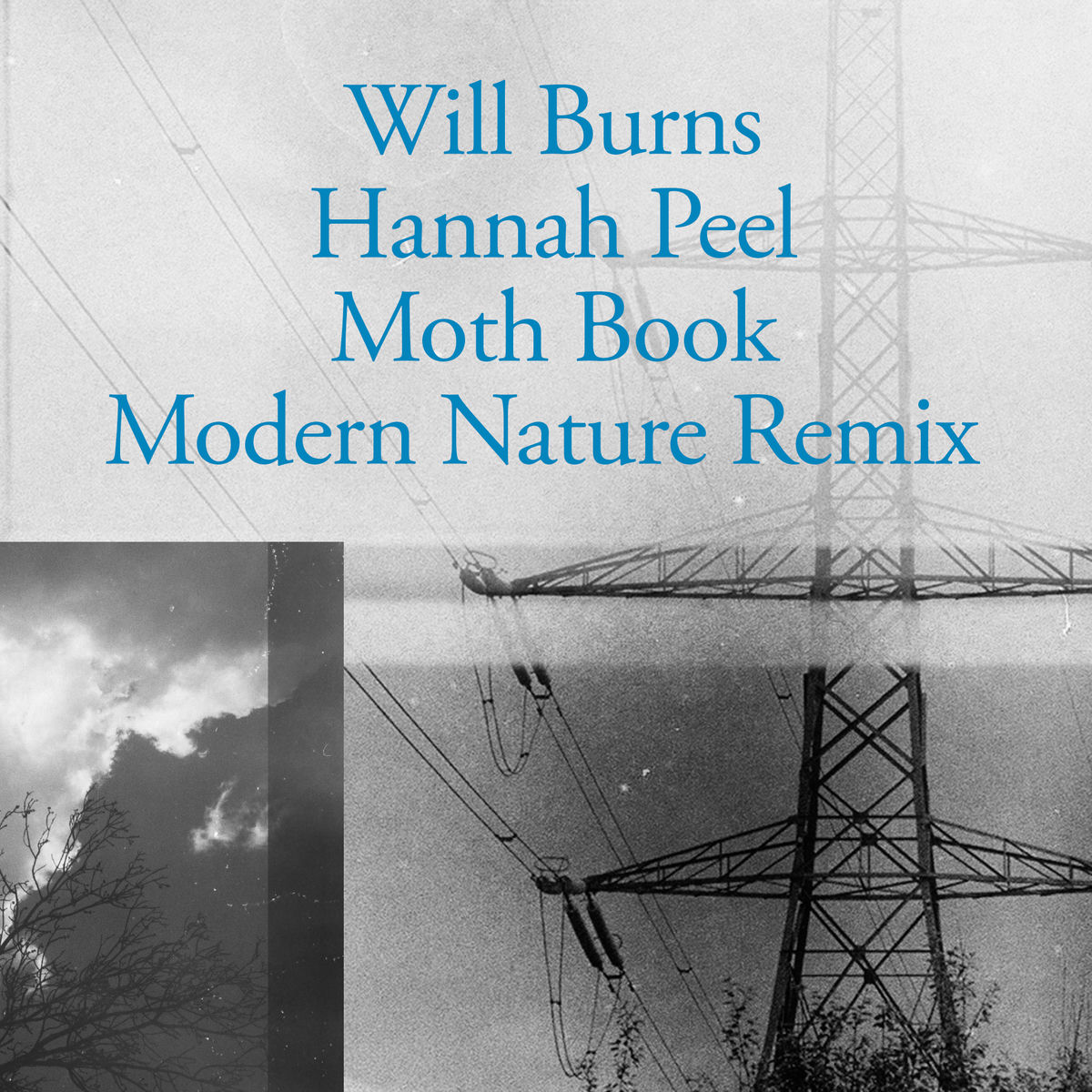 Album cover of Moth Book (Modern Nature Remix)