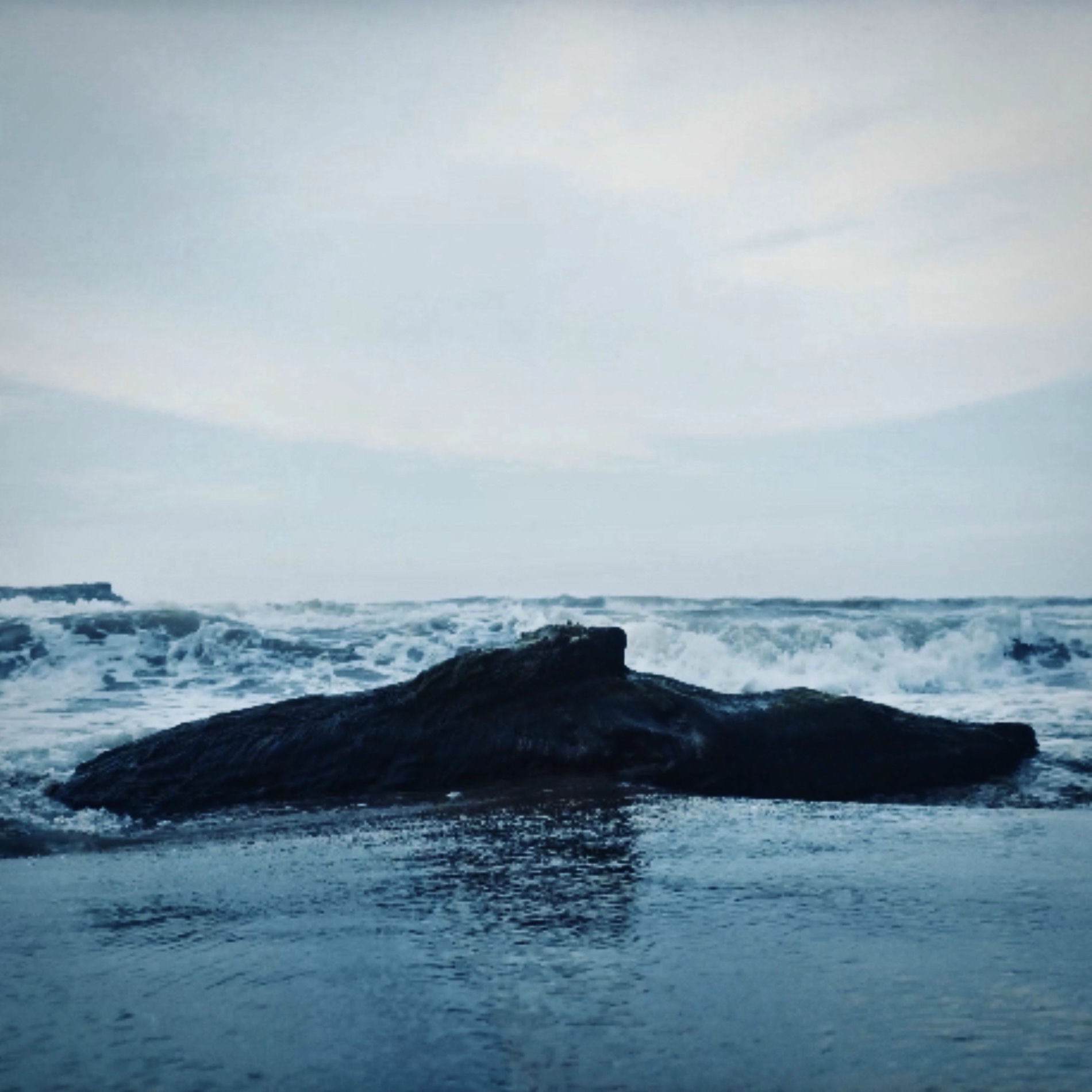 Album cover of 02 de enero