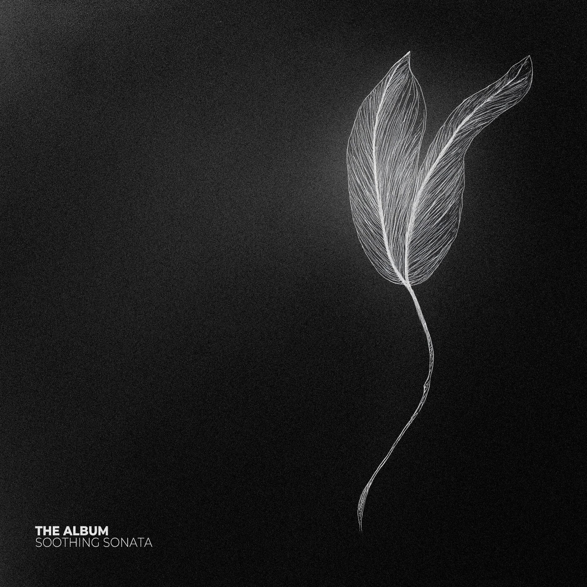 Album cover of Interstellar