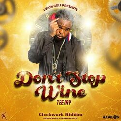 Cover of Dont Stop Wine