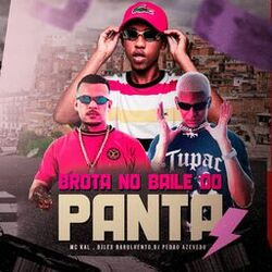 Cover of Brota no Baile do Panta