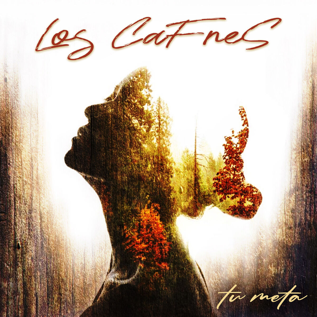 Album cover of Tu Meta