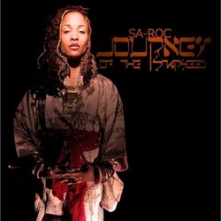 Cover of Journey Of The Starseed