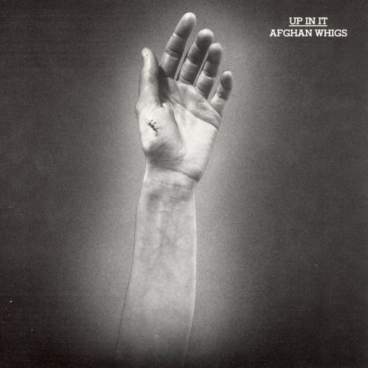 Album cover of Up In It
