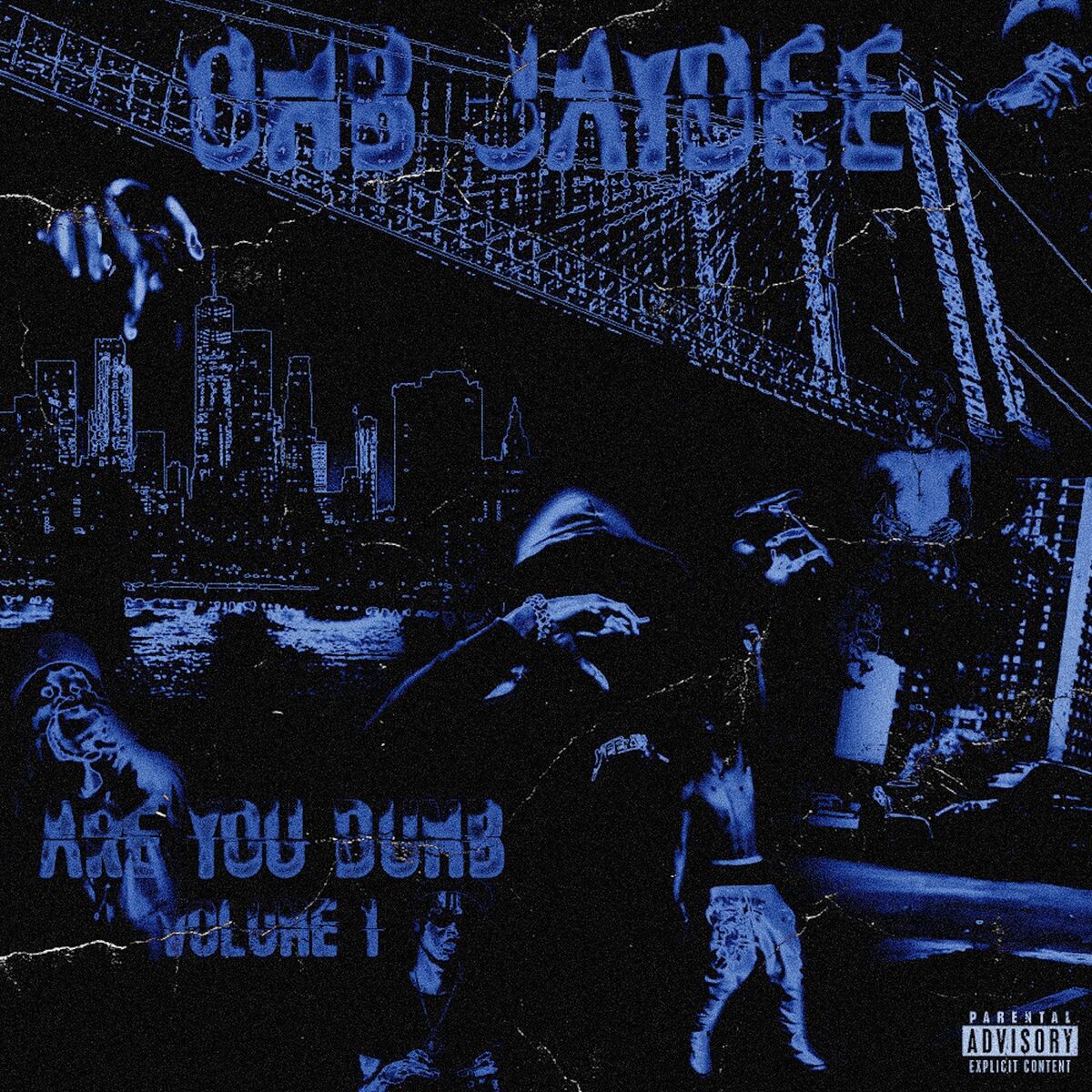 Album cover of ARE YOU DUMB VOL. 1