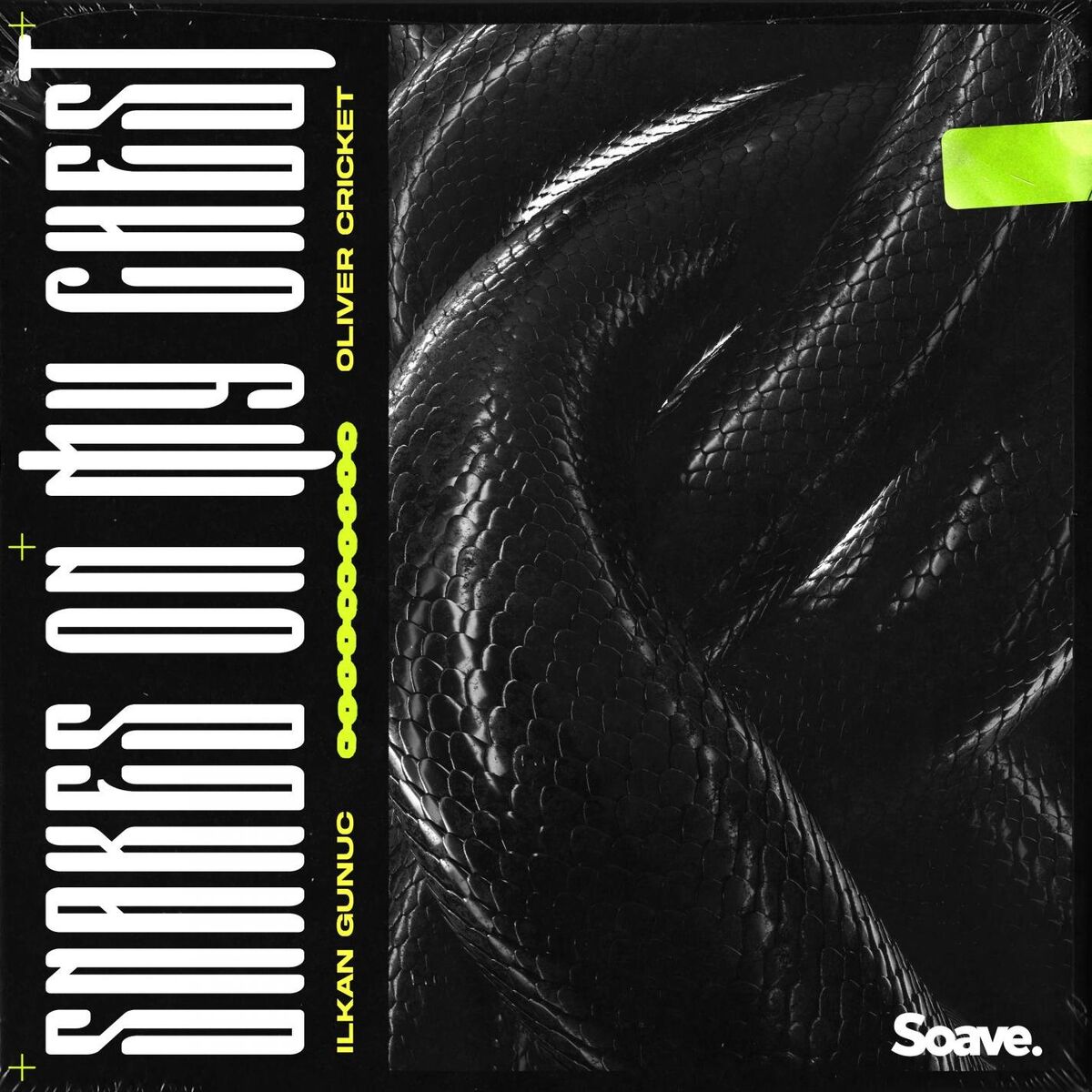 Album cover of Snakes On My Chest
