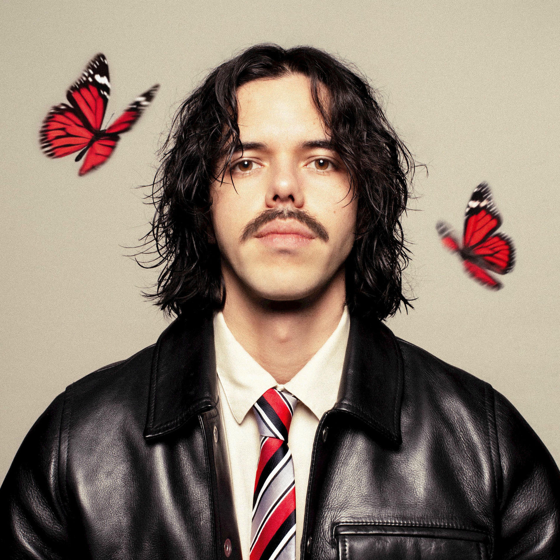 Album cover of Les papillons dorment en hiver