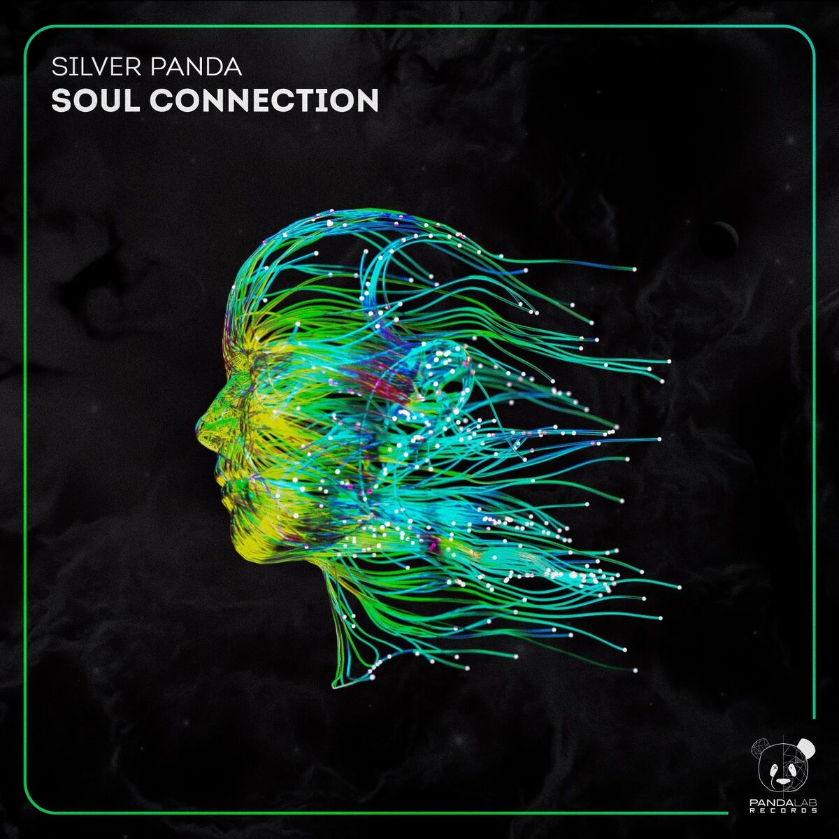 Album cover of Soul Connection