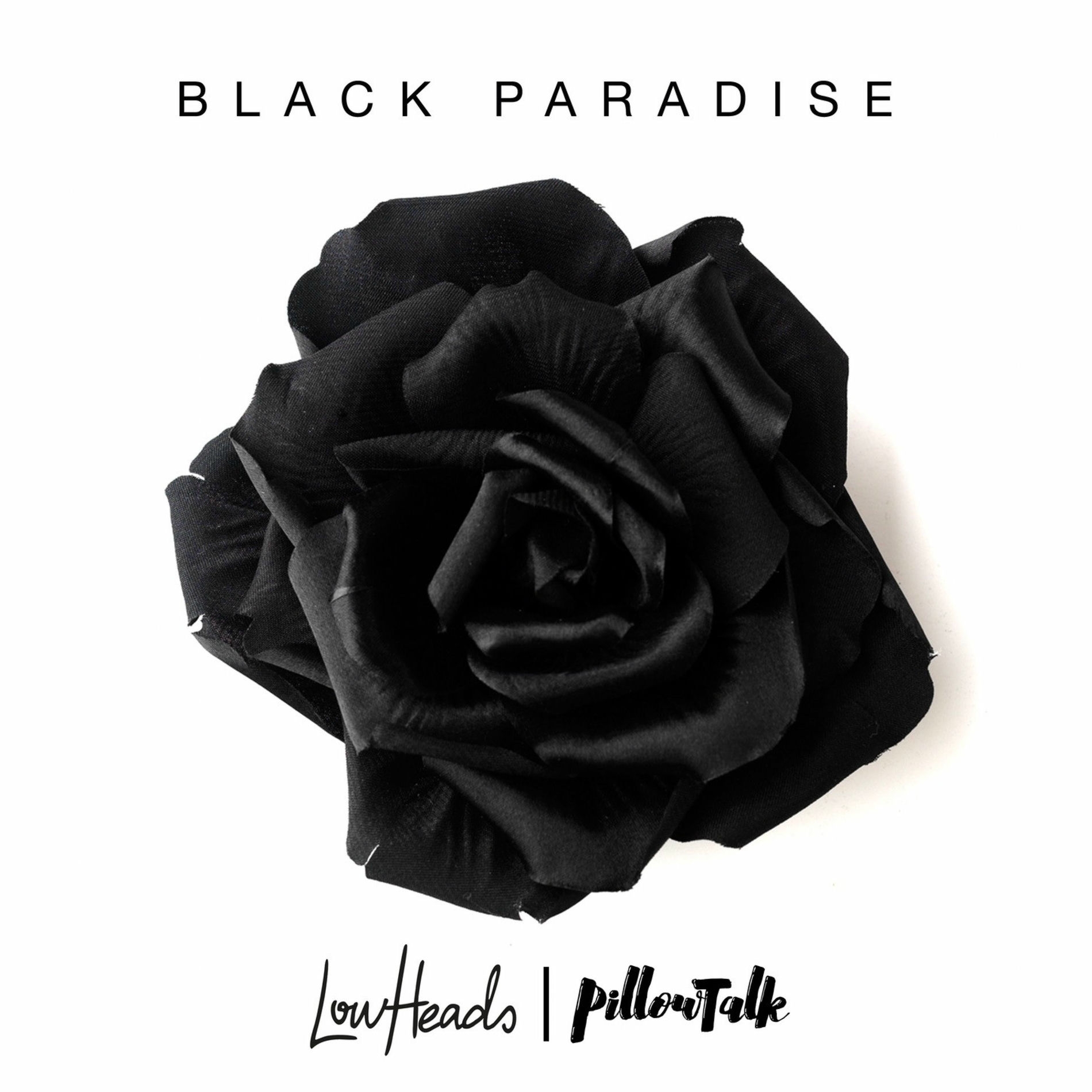 Album cover of Black Paradise