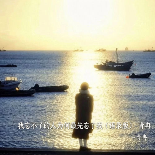 我忘不了的人为何最先忘了我 (语录版)