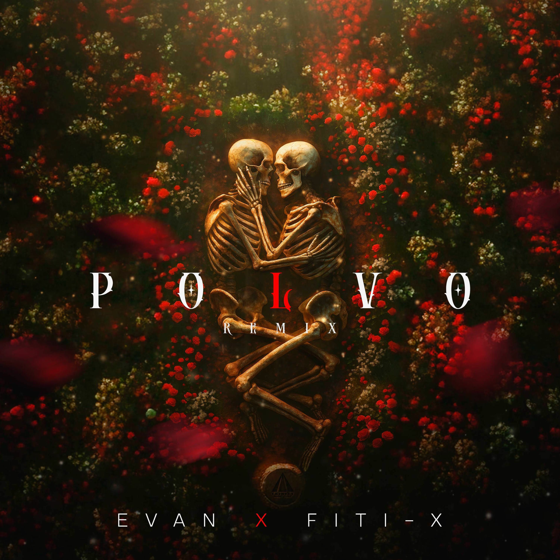Album cover of POLVO (Afro House) (Remix)