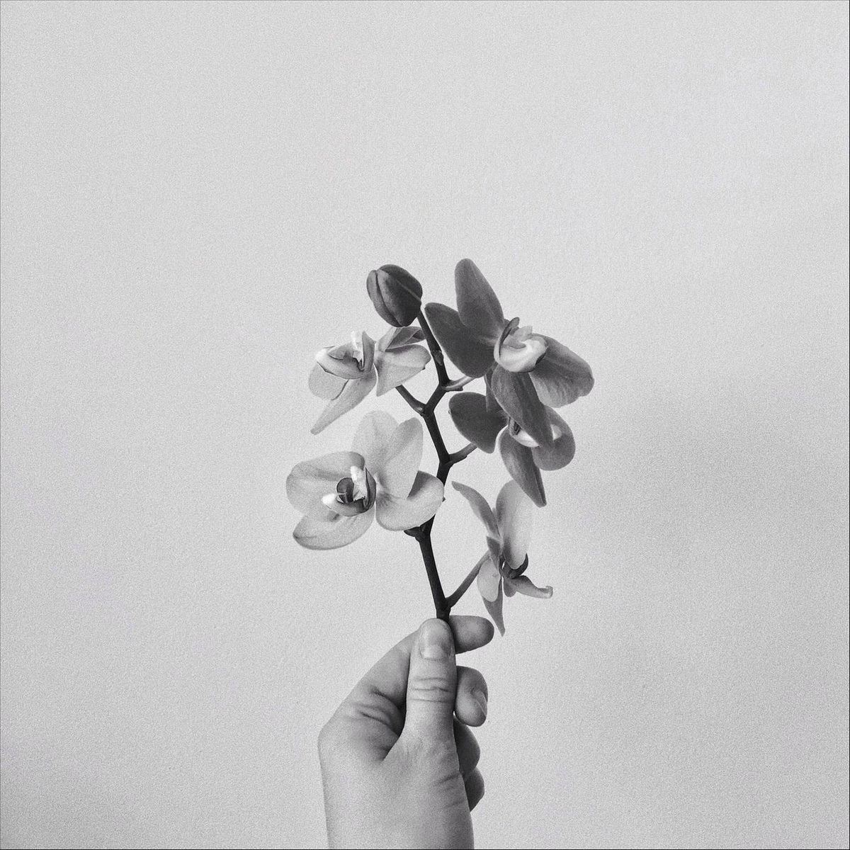 Album cover of Nostalgia