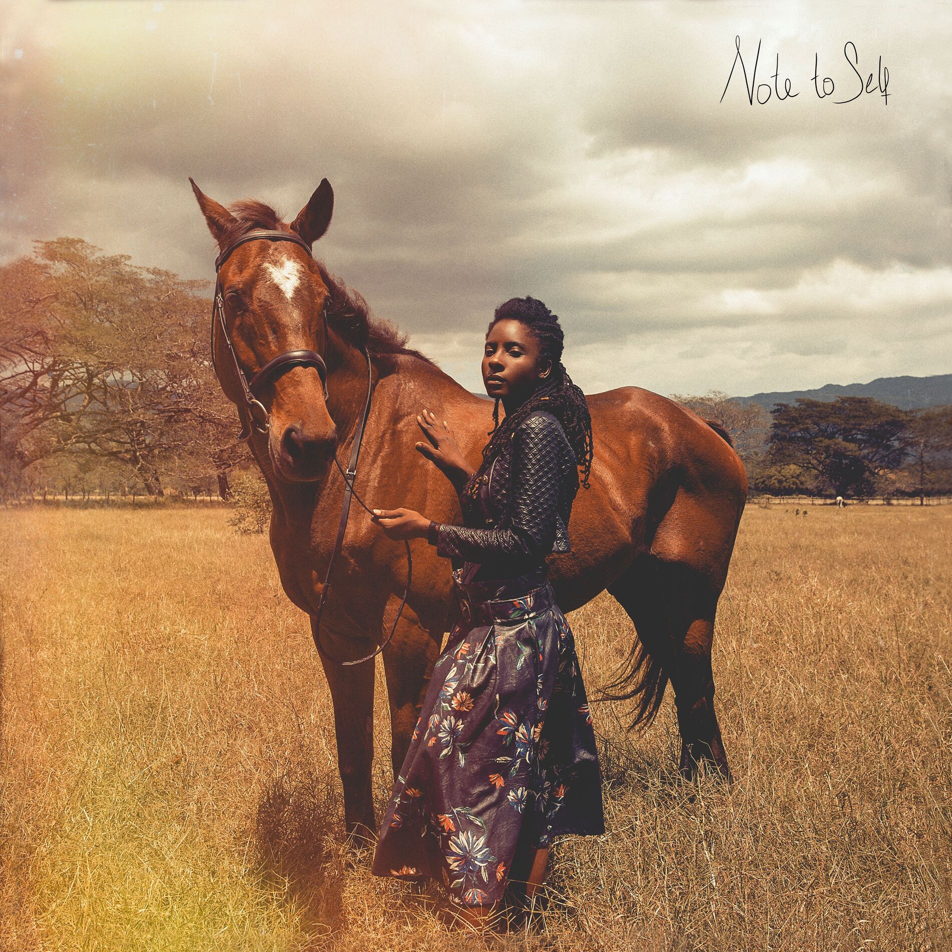 Album cover of Note To Self (Okay) [feat. Chronixx]