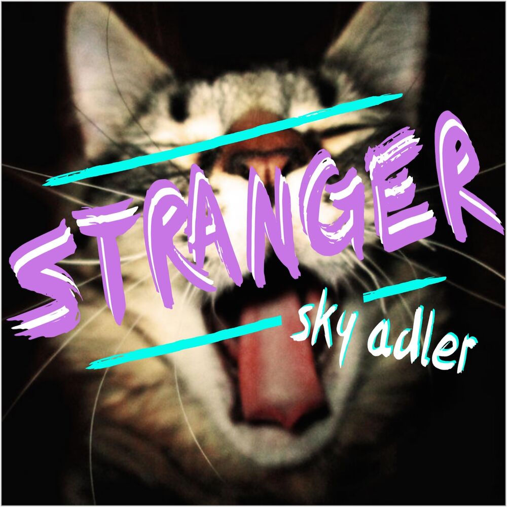 Picture of Stranger