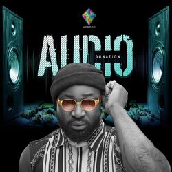 Cover of Audio Donation