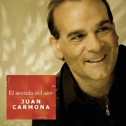 Cover of El sentido del aire