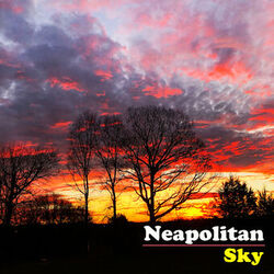 Cover of Neapolitan Sky