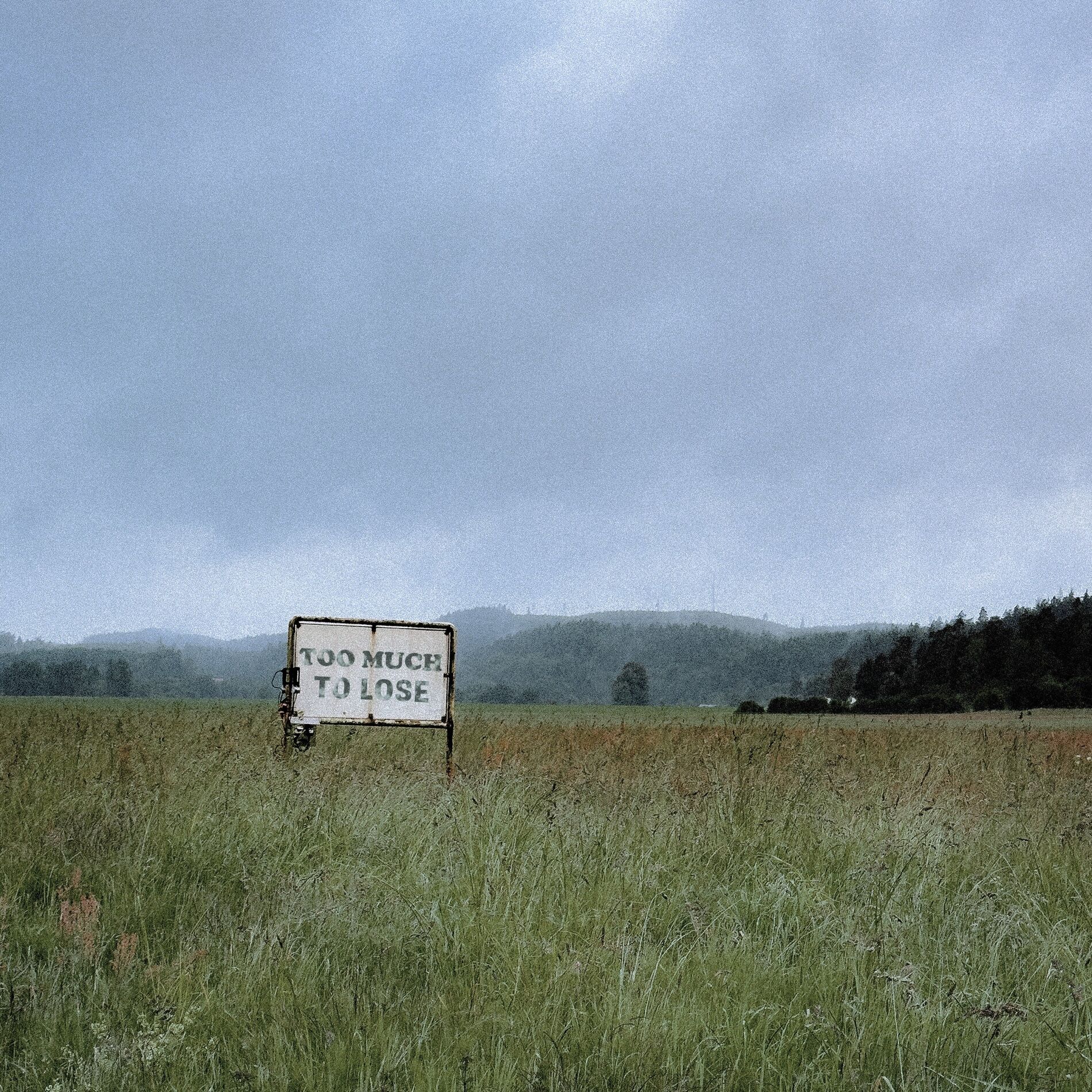 Album cover of Too Much To Lose