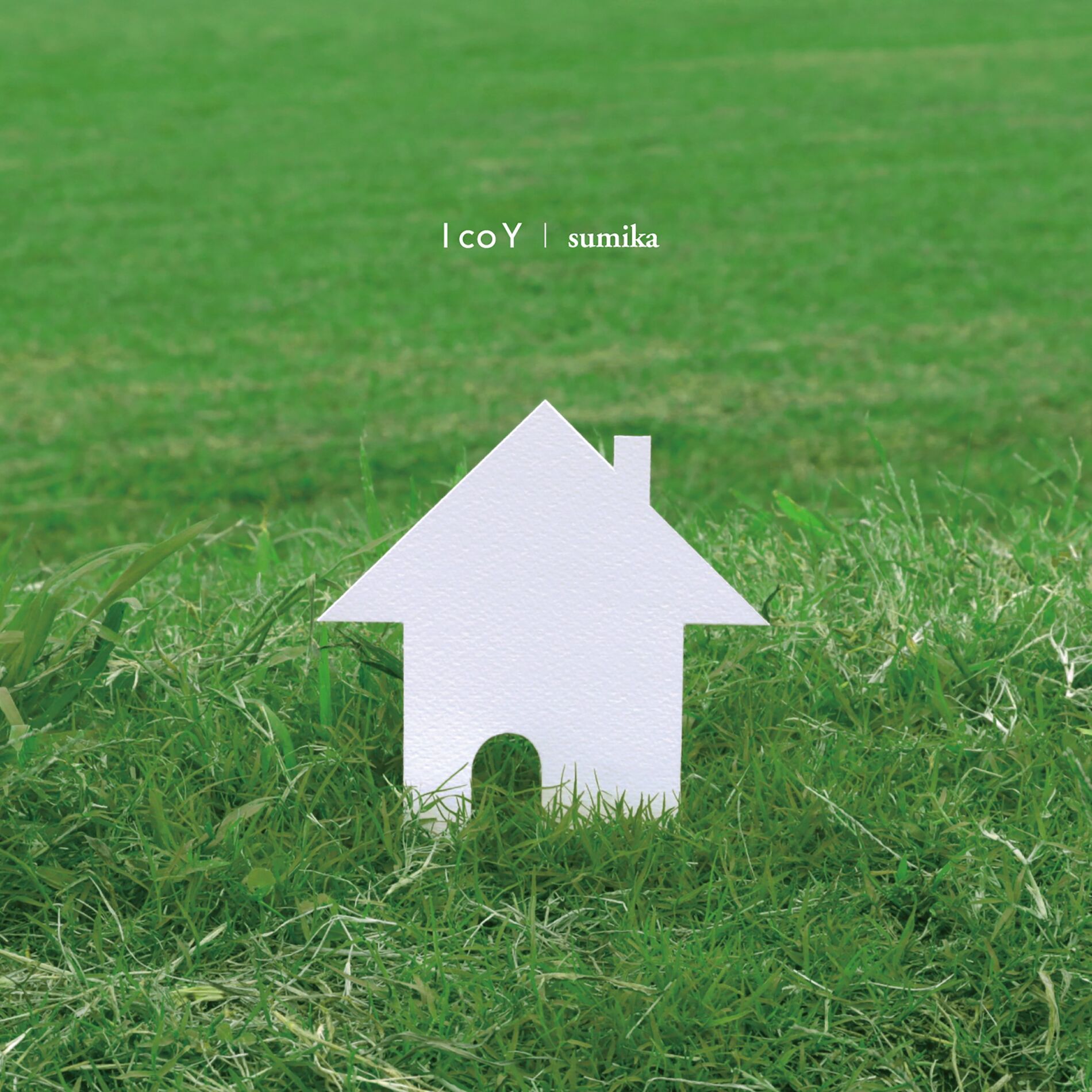 Album cover of I co Y