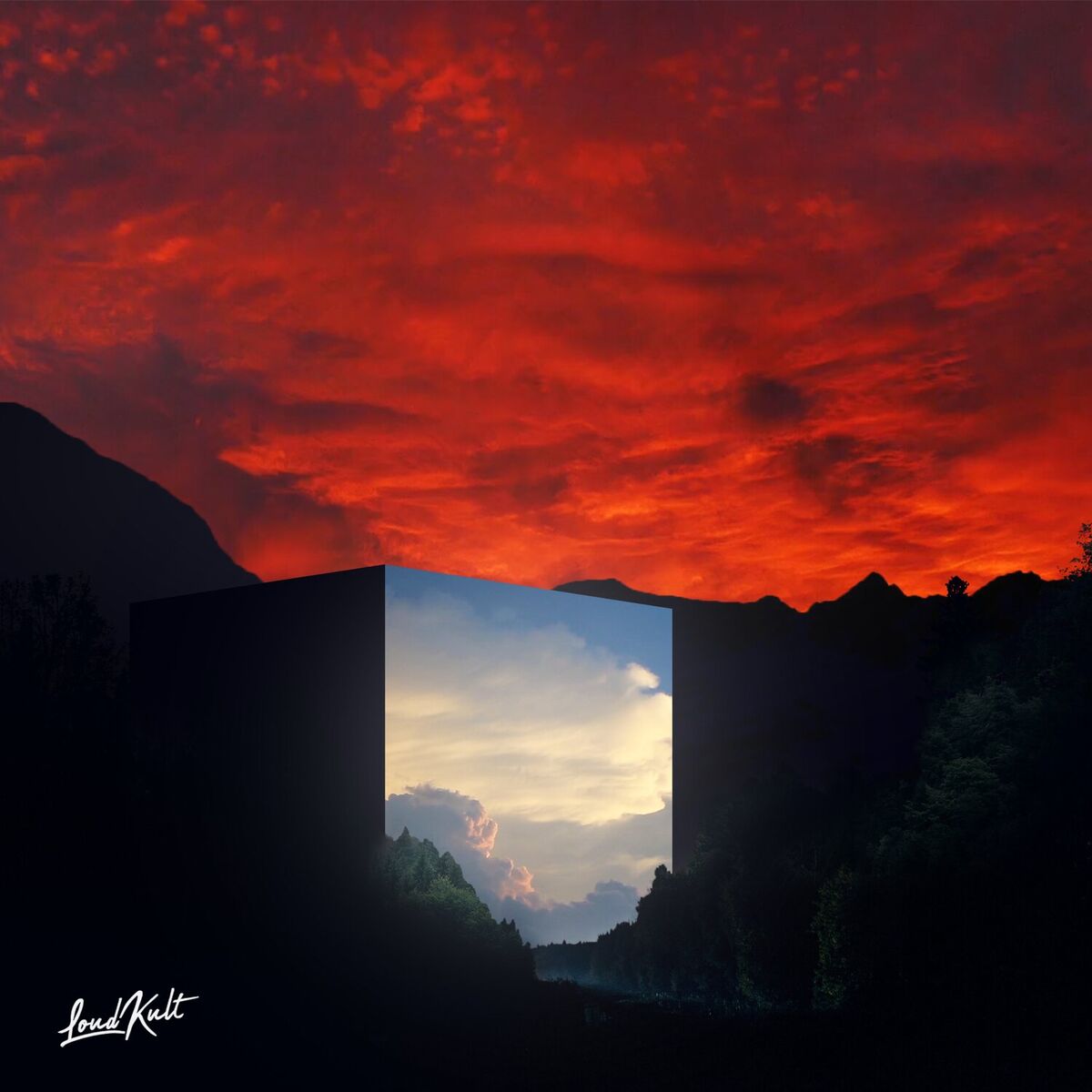 Album cover of Risk on You
