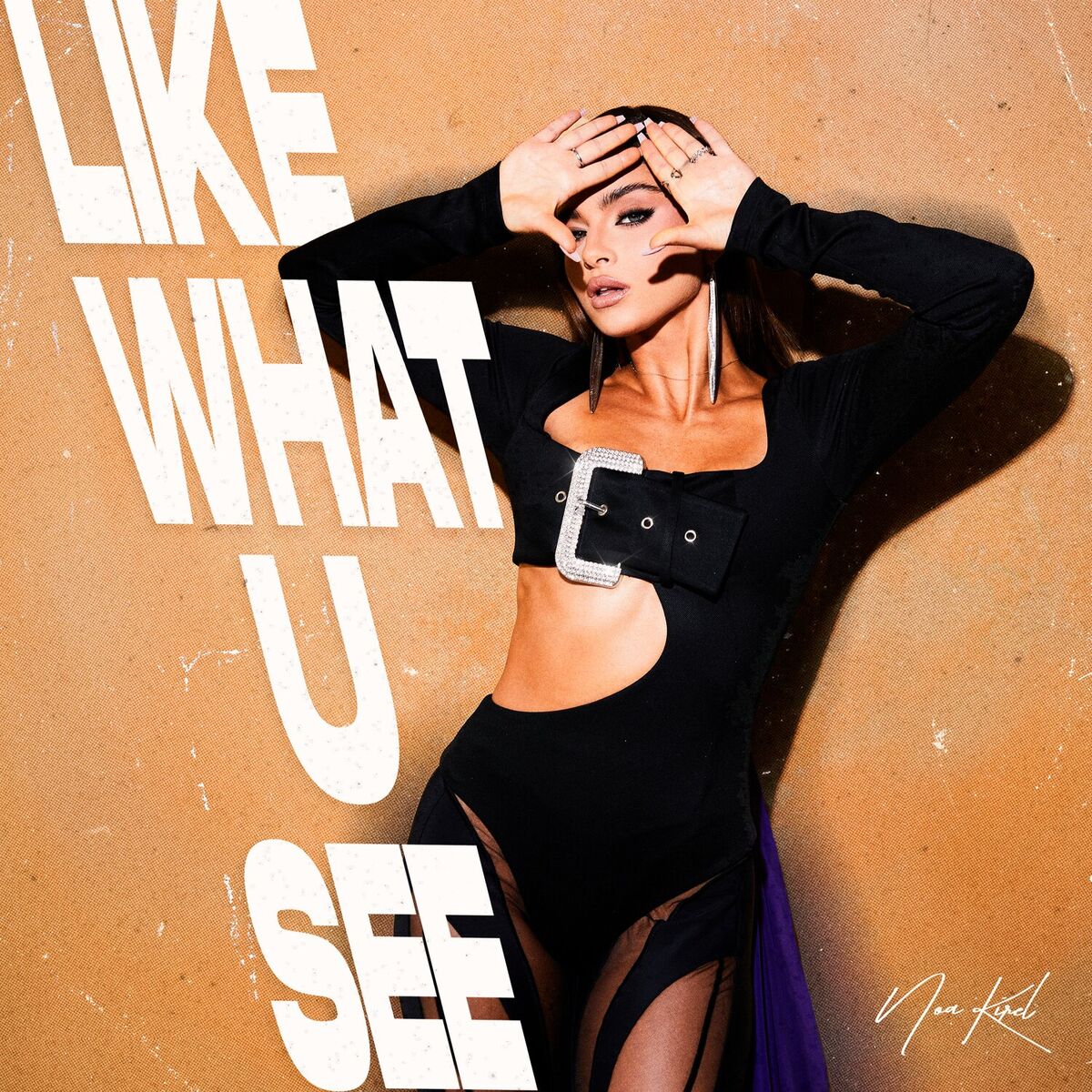 Album cover of Like What U See