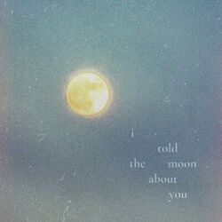 Cover of i told the moon about you
