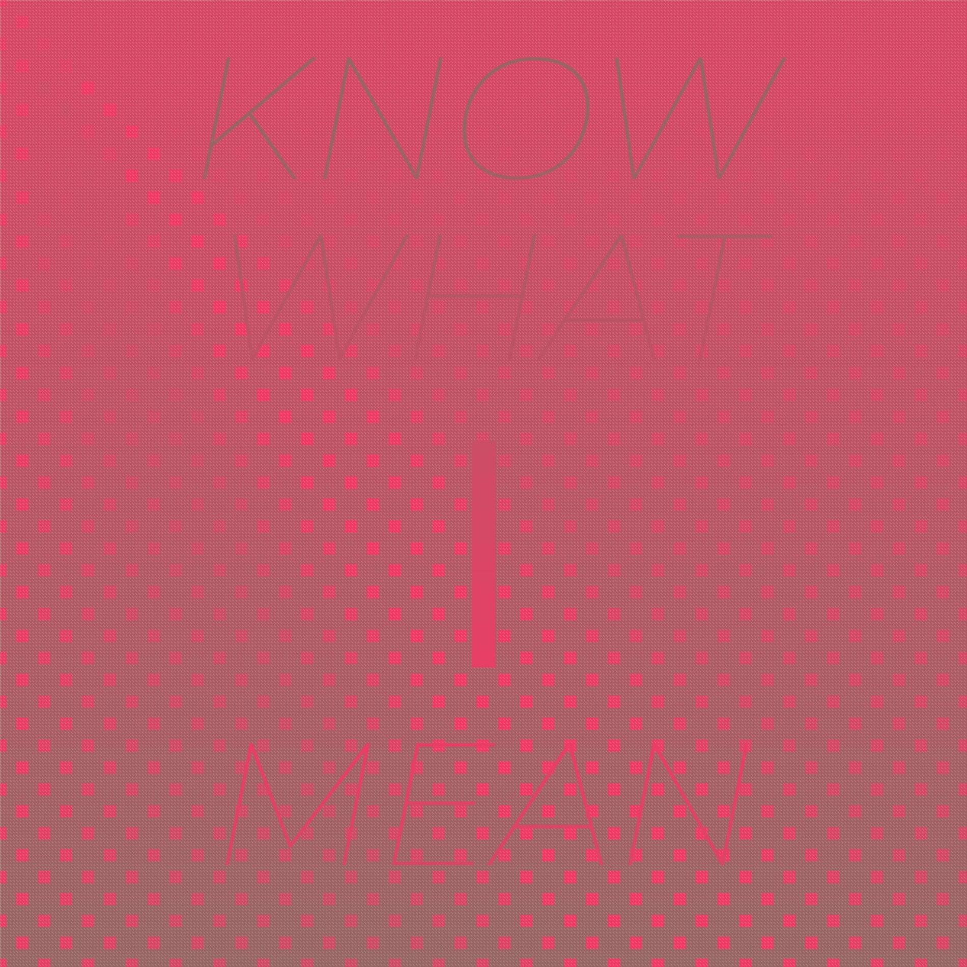 Album cover of Know What I Mean